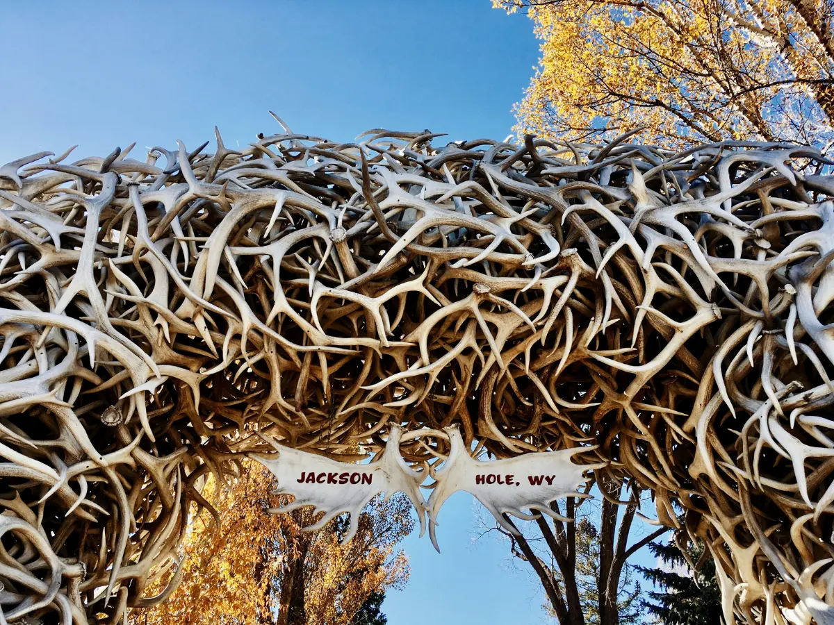 jackson hole wyoming investment real estate
