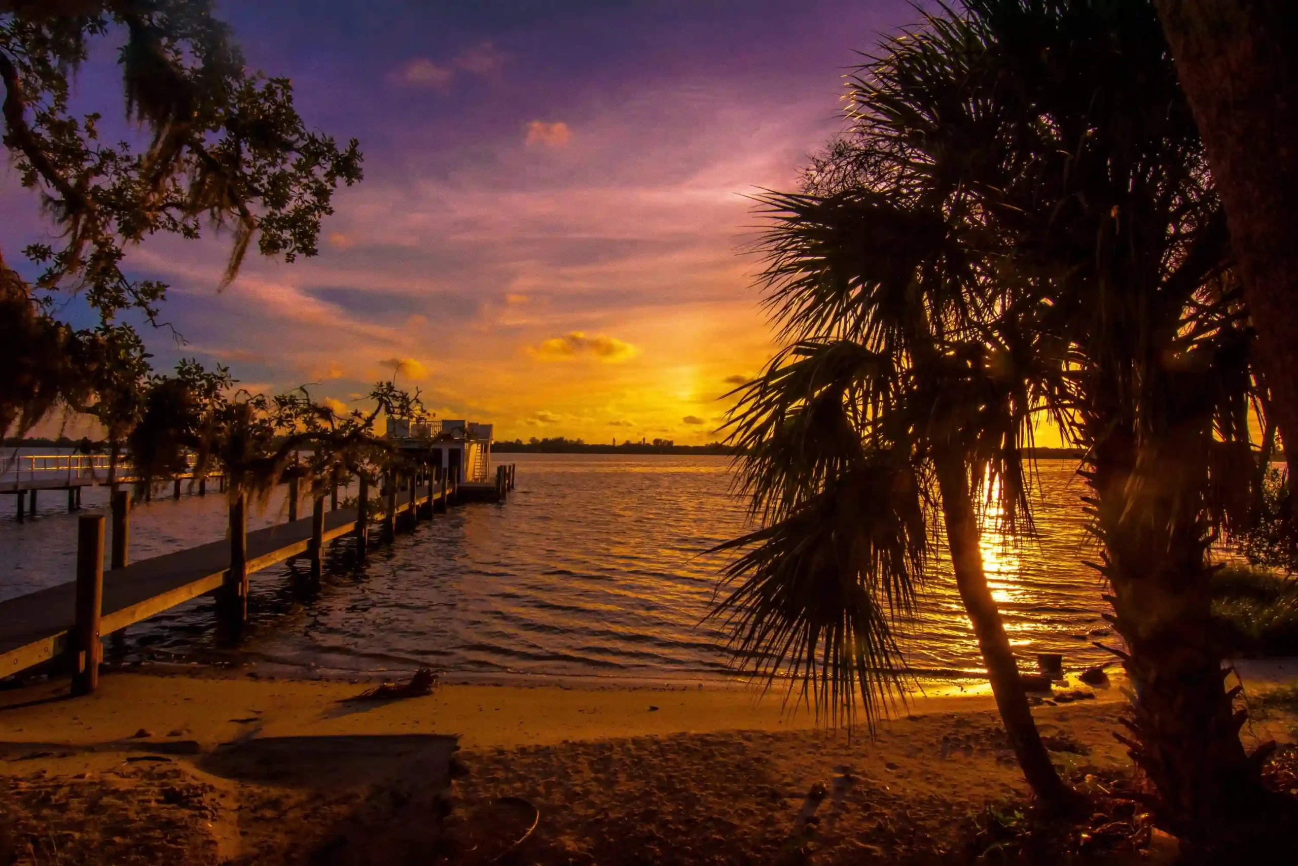 Sunset over Sarasota Bay with palm trees, a dock, and golden reflections on the water