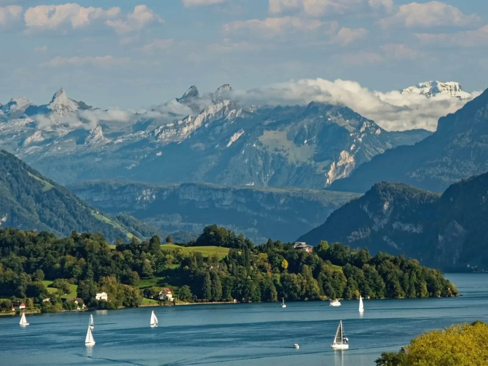 lucerne